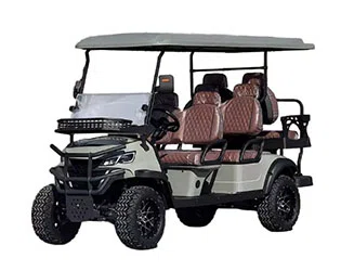 Best 6 Seater Street Legal Golf Cart for Sale for Commercial Use